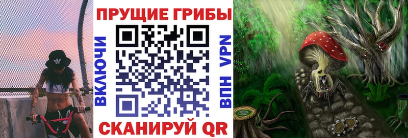 Псилоцибиновые грибы GOLDEN TEACHER  Лосино-Петровский 