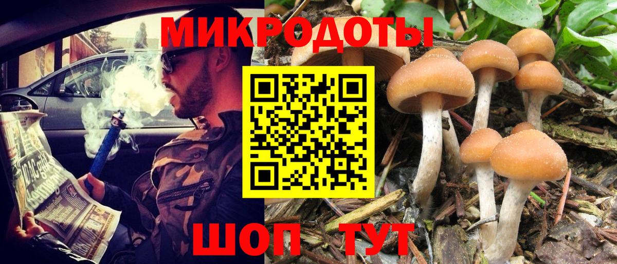Лосино-Петровский  Псилоцибиновые грибы мицелий  Вход с VPN 