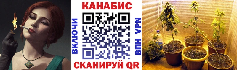 где купить наркоту  Лосино-Петровский  hydra   Канабис план 